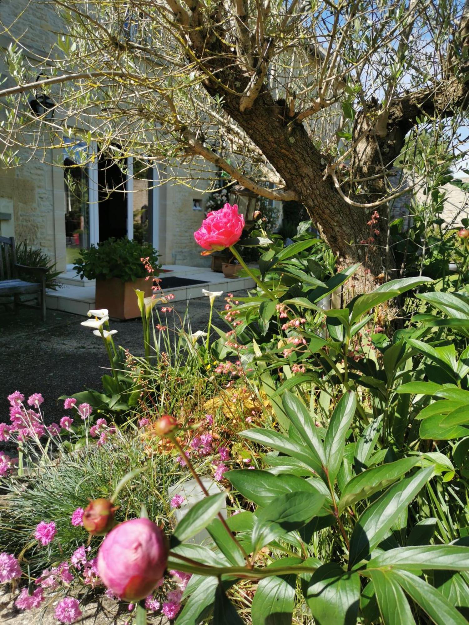 Chambre De L'Iris Sainte-Croix-sur-Mer Bagian luar foto